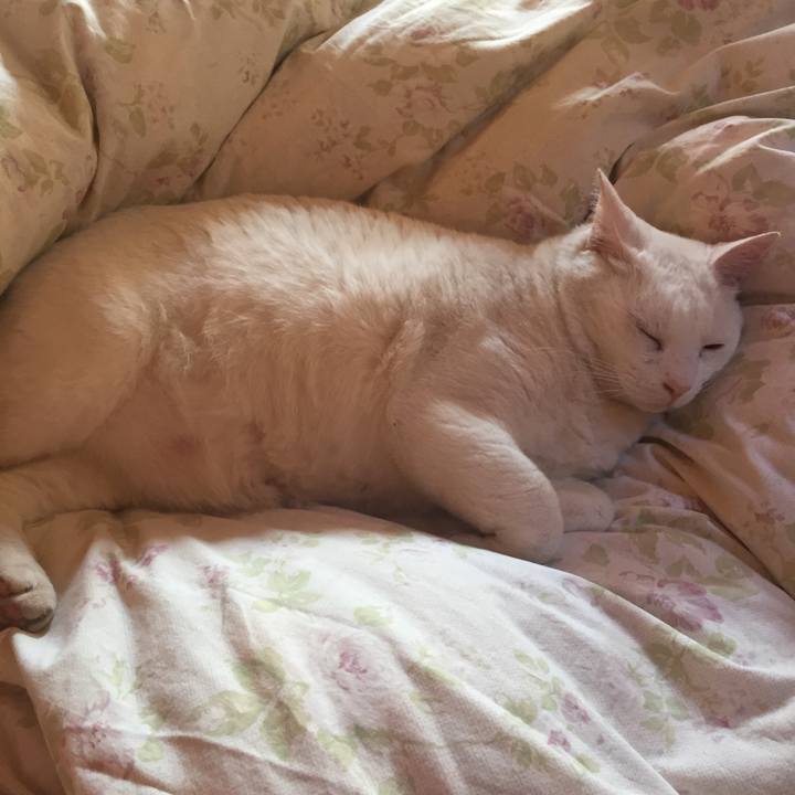 80a0d2b8 32fb 46ed 9c94 97258c1c4b8a 1526939106144