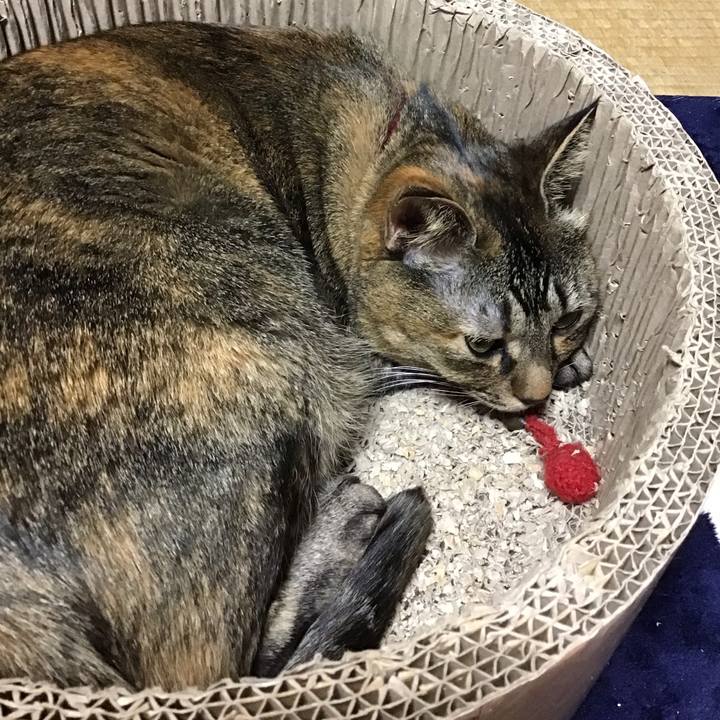 80a0e24a 3f7b 4755 bfe7 d7ef8343315a 1705914083956