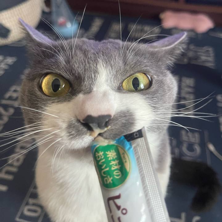 80a0e75e 4358 4ff8 b7cc d04b1a7ace27 1715326074677