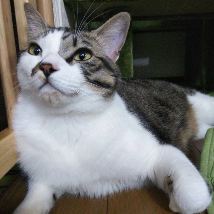 80a10488 c197 4133 9f85 6db44c00f9ff 1643530205080