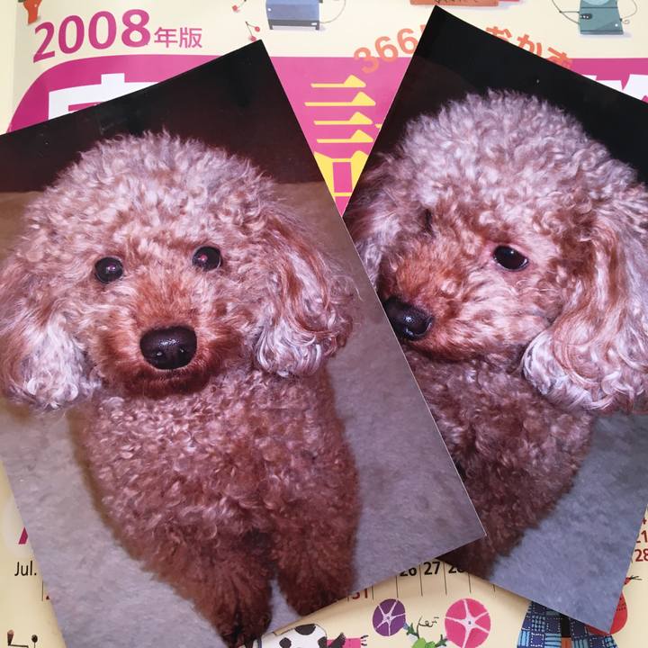 80a104c3 0cfa 49bf a085 5c0fa4b79694 1541048361084