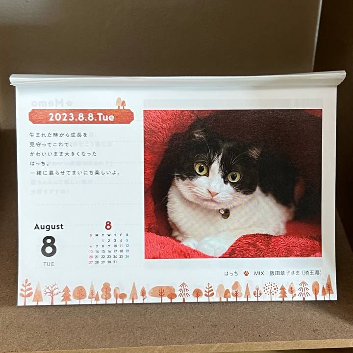 80a12275 0868 483e b22b 3de812c39da7 1691460022435