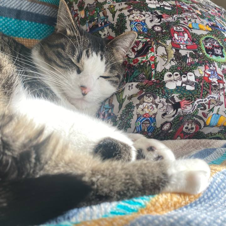 80a13025 2d48 42b9 bfb6 ca109c904f31 1639357163513