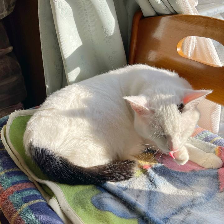 80a170be 8c95 496a a55b 150149026b00 1767342088365