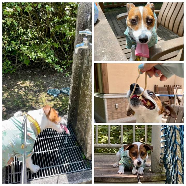 80a18a71 2d64 4021 a418 dd2105a3bd9a 1691317447942