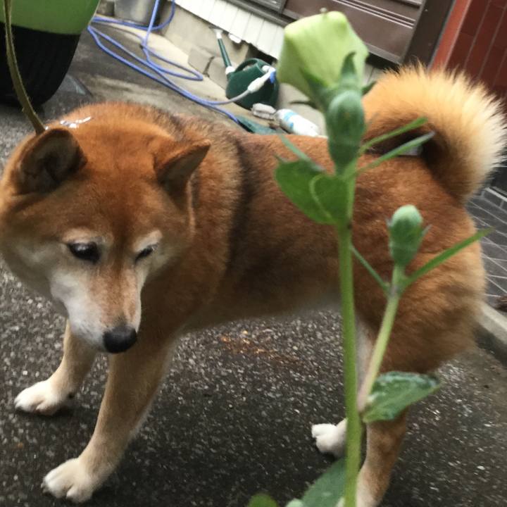 80a19954 caa2 4452 b7af 8ace48a8d22e 1591861944800