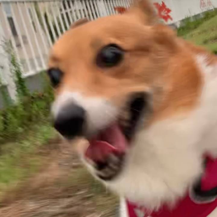 80a1a0d1 6e06 4f9e aa67 4cdc6e03790c 1688559563819