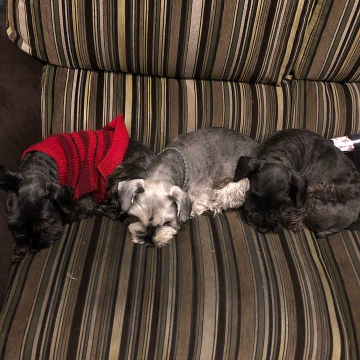 80a1a17d eed1 4795 a902 e8c330a779b0 1548800247557