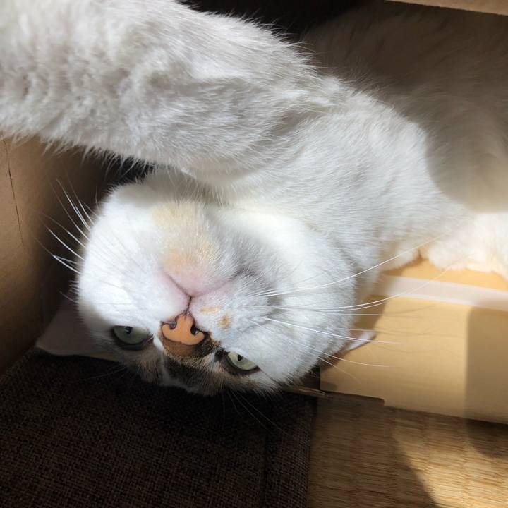 80a1ab70 88a2 4629 8611 42625a4540b8 1540352898105