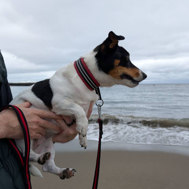 80a1beab 989a 4d71 b8ce 3536f5aff269 1761487366460