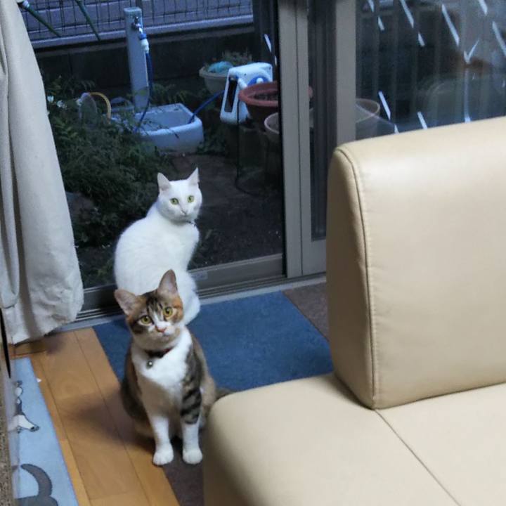 80a1fad0 c3a8 4171 bb9e da16aa653566 1665479684138