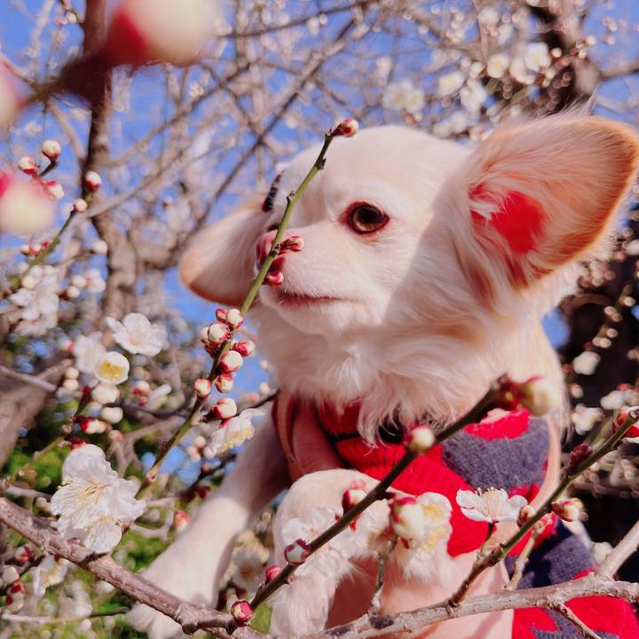 80a23b13 d1d2 4b3a 87d0 b0f3b31d0ef8 1677064700573