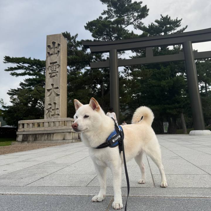 80a2881b 0a13 4c31 93cc 44a43f426bd4 1758926122469