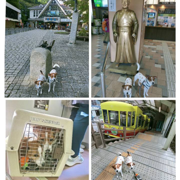 80a2a009 5491 4380 b288 112e06c5e333 1761724307446