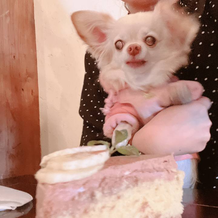 80a2c740 1cee 42f1 8036 d560b9a445ad 1675662106282