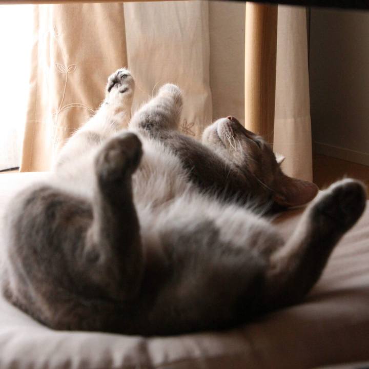 80a2fb2b 6fb5 4bb1 b76f b8a1f5ba8016 1528611492878