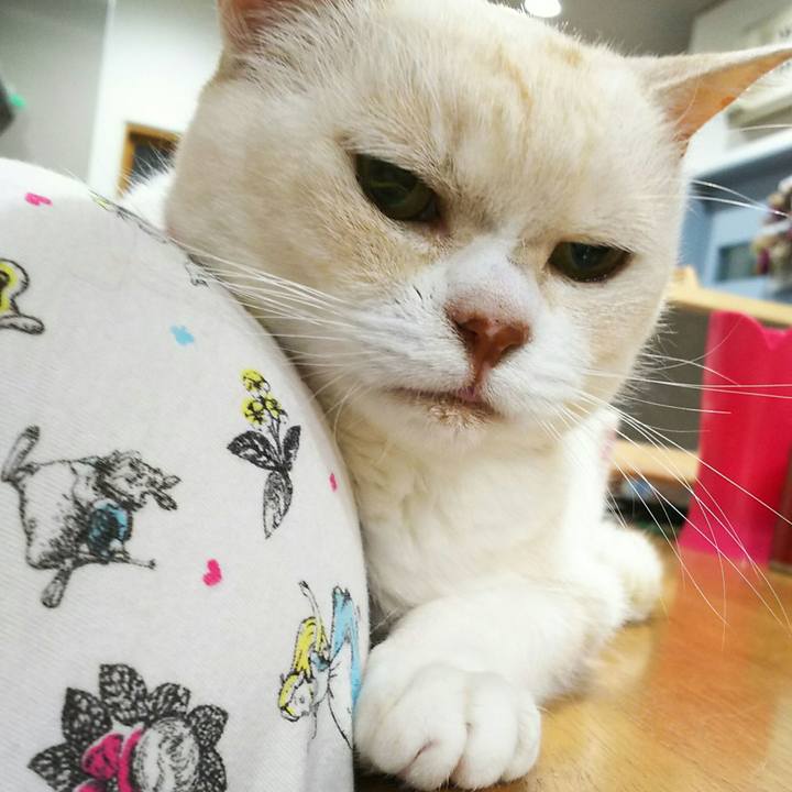 80a34099 d73e 4ec7 9b5e 92e684422bfa 1560778096298