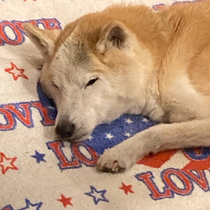 80a39dac c808 4d45 bd5b 0b06e3959825 1603807314325