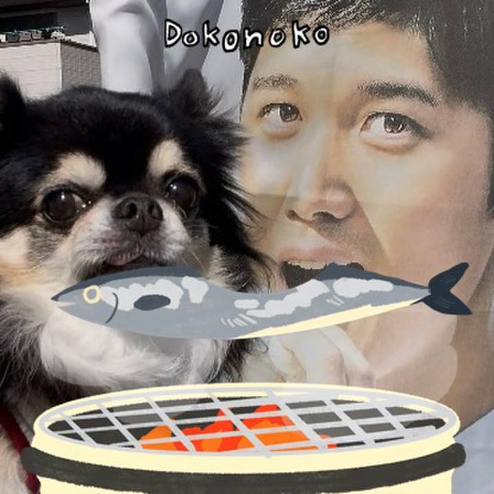 80a3c9a0 7eea 44e2 8e6c cea26a2245dc 1761461003892