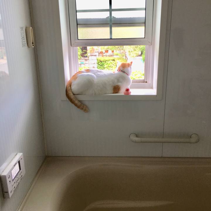 80a419f7 b09f 449a be9e a4ae39cb9b19 1530407708667