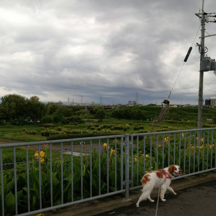 80a42218 5a2a 4913 98c5 e41624d93b19 1595654056183