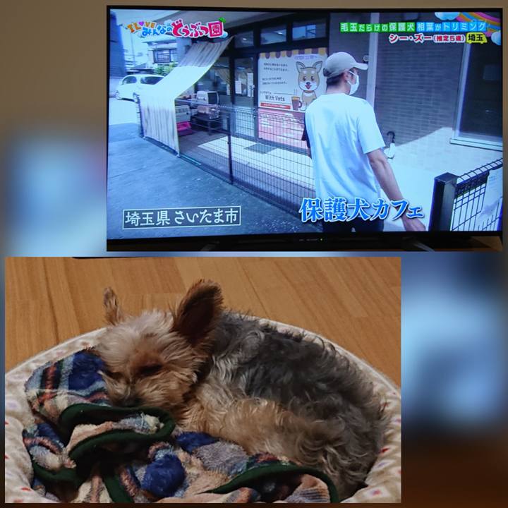 80a44221 c945 49ed adef 7ba01625abf3 1604151321150