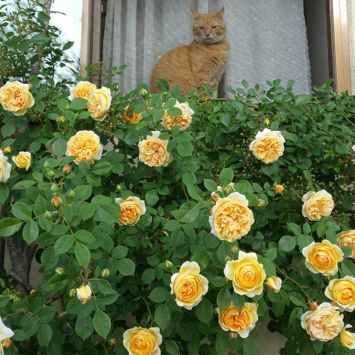 80a45b31 0d67 4cf6 89c2 ec9e1413f413 1558820998592