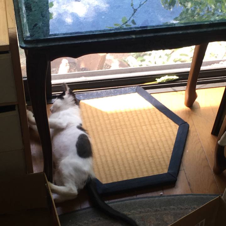 80a4758e a554 4bc0 b057 157182434b98 1531153025859