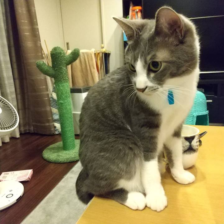 80a48756 be64 4daf b725 b9bc5891f1c6 1615549042670