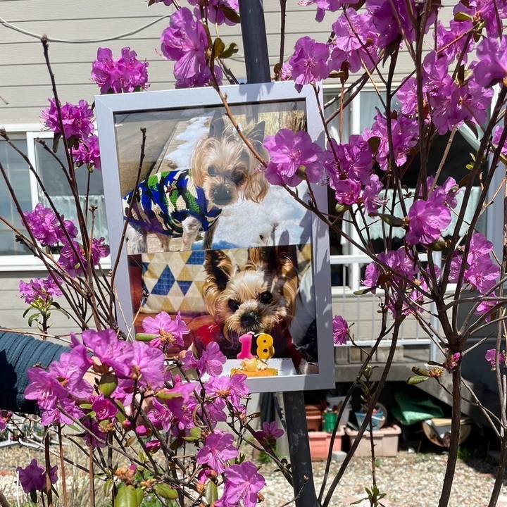 80a4ddb1 6030 463e 96ba 641781cff93b 1745488366390