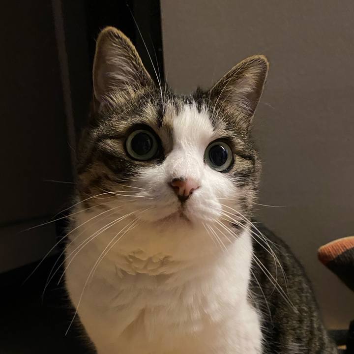 80a53856 db12 4f24 bca1 efb4287216c1 1733107312400