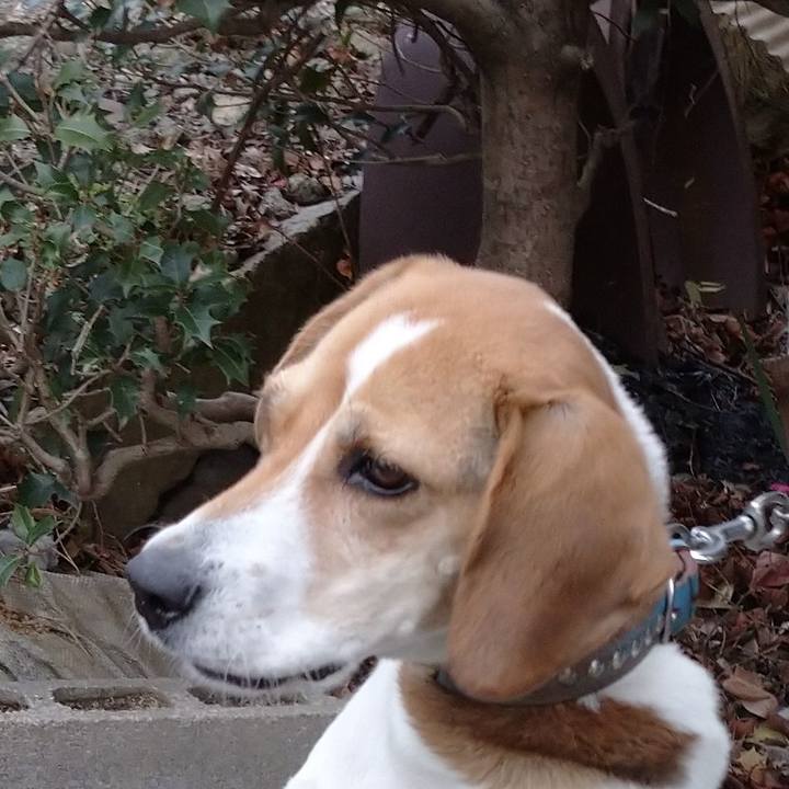 80a538a9 ac1b 4122 afb6 b89ee0e8c60e 1610892896000