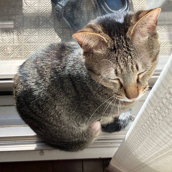 80a551b9 caea 4e03 aaa0 cdb49be6da5c 1768716125466