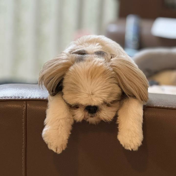 80a56610 4466 4b9b 8485 dfbf5012f609 1750333194454