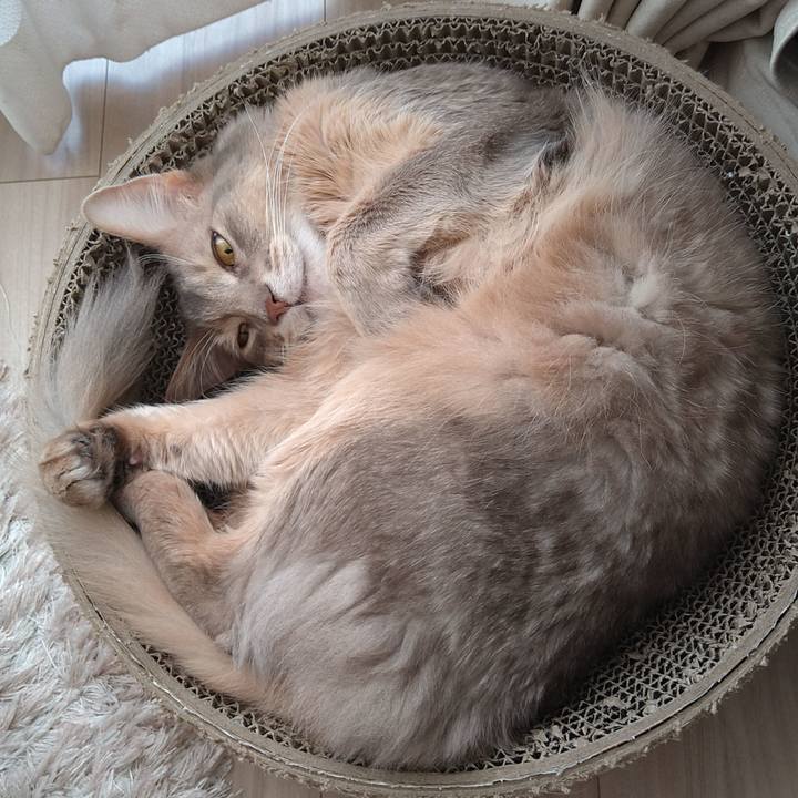 80a57535 0653 43be 973f 8a695d2c754c 1611288410455