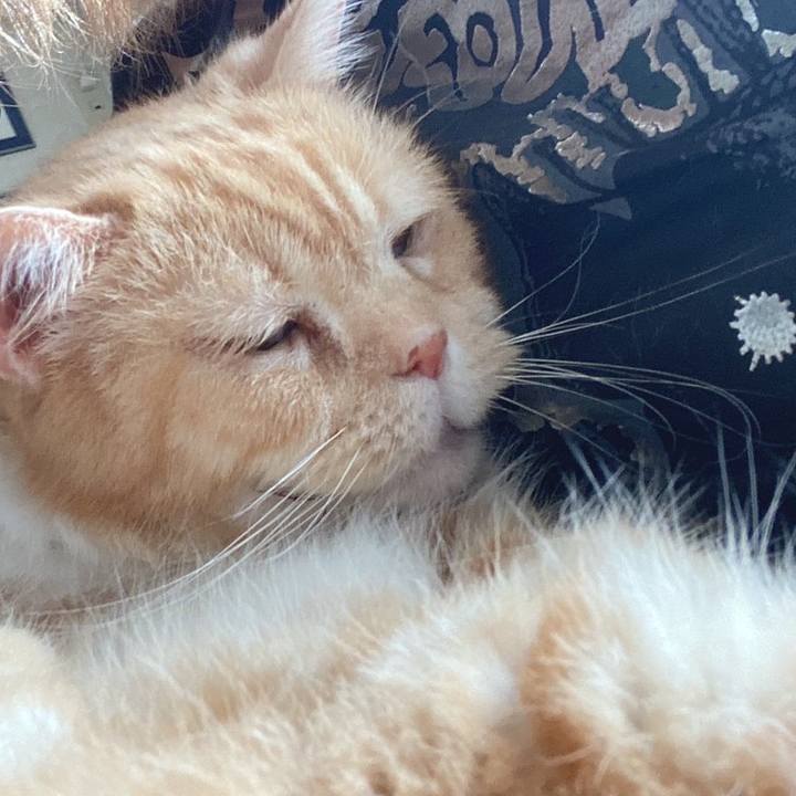 80a58022 87ae 40dc b245 dd40af90c7c3 1659010910883