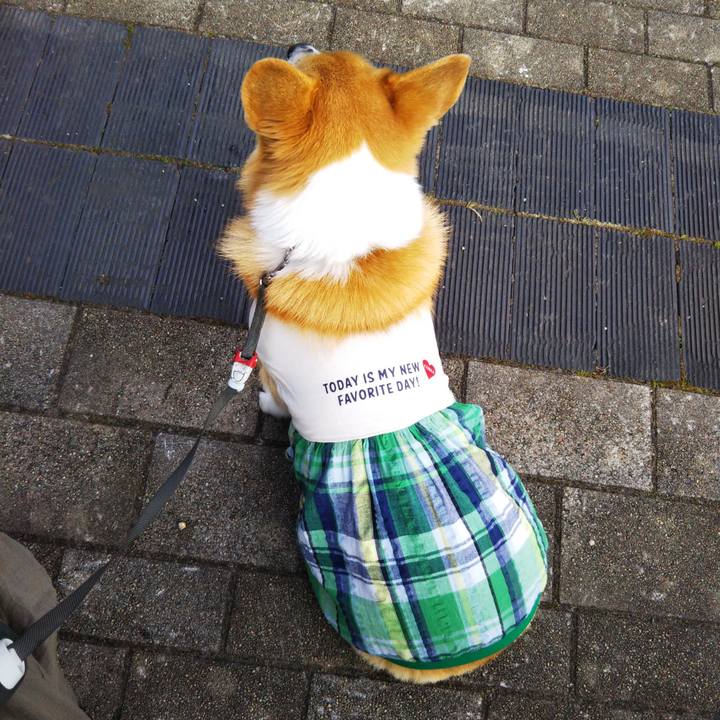 80a5b189 be10 4df1 94e6 221bf37cfb1a 1602933643067