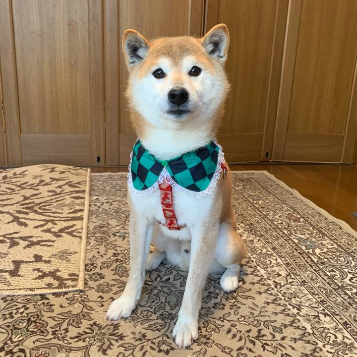 80a5d65b 6271 4a7f a20b 8f2e8a46e398 1616056150519