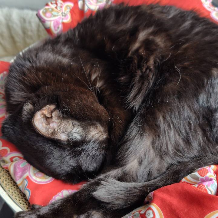 80a5f126 b87f 4081 845d c5061effa567 1754962468571