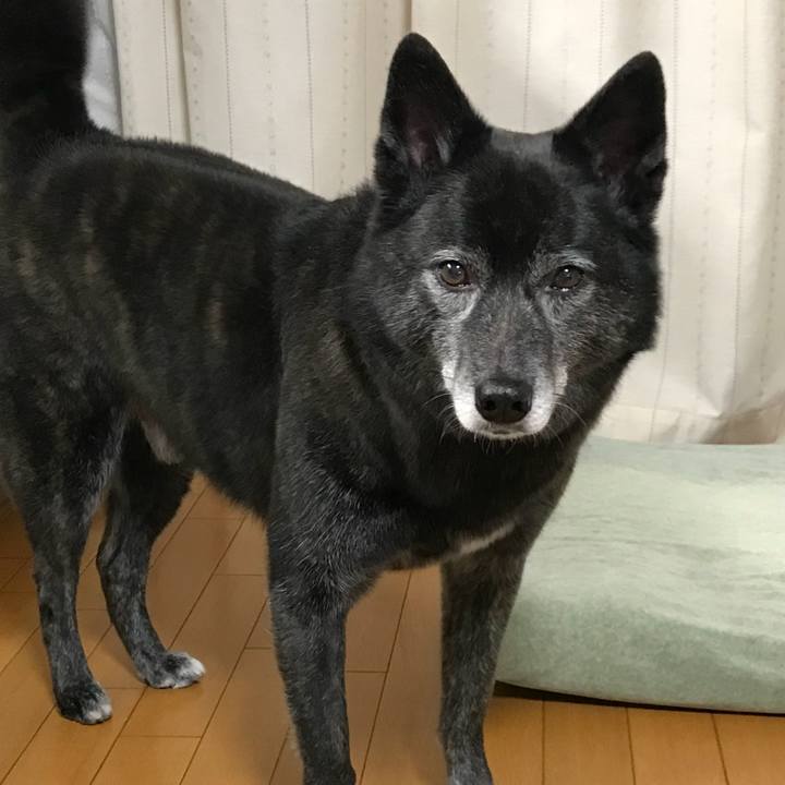 80a60097 40fd 428a a9b2 8eff193ea66c 1521721366021