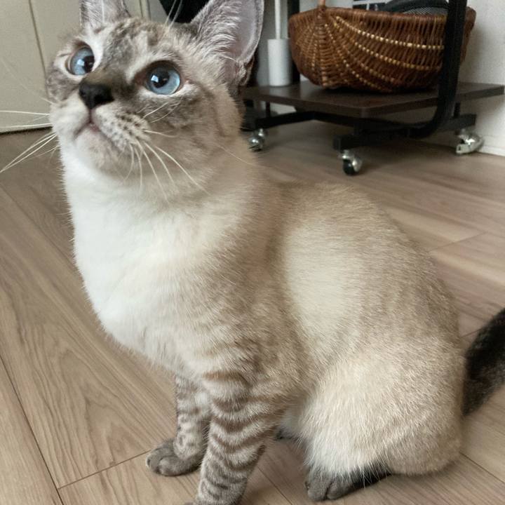 80a60c5a 8c2c 4a3e 98fa dc9ca4d8c822 1602388690271