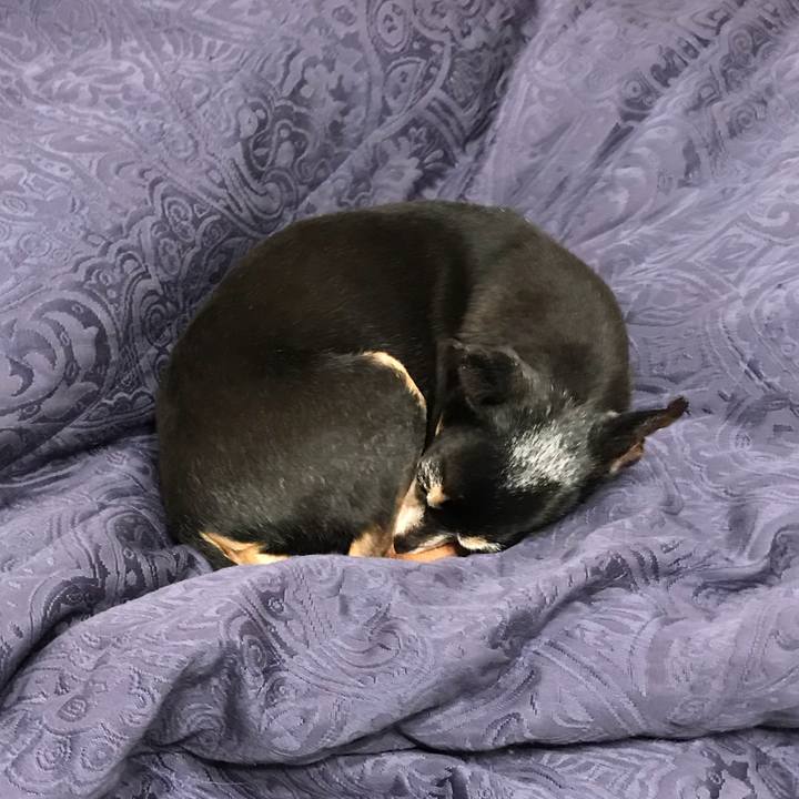 80a61ddd 607d 444e aff4 b6480ca2eb73 1537102046977