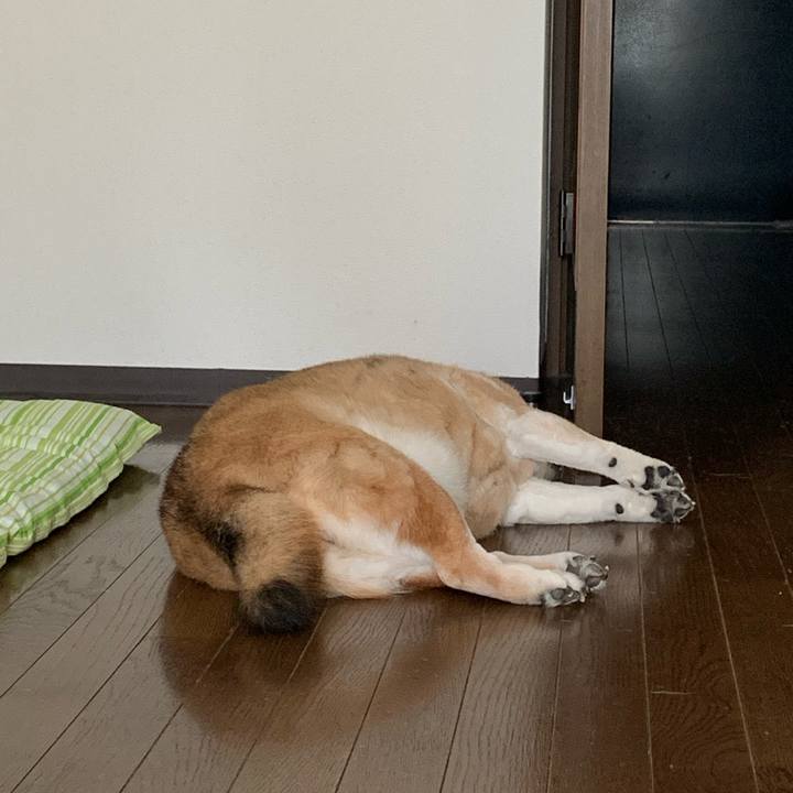 80a62c79 a2d3 4605 8577 8c0b69aaa5d9 1650768300882