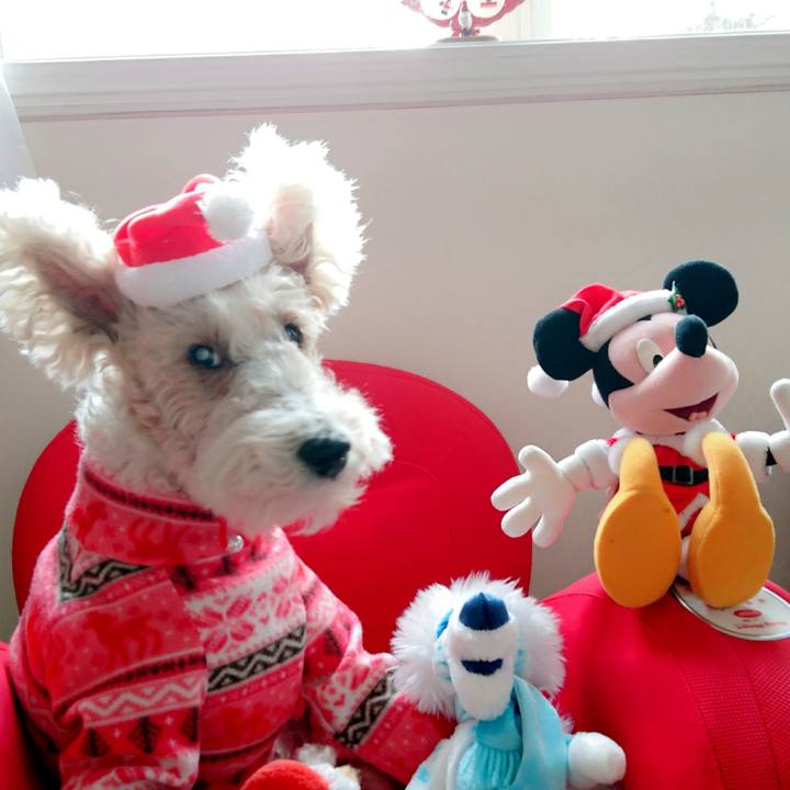 80a64893 52a6 4fb9 8dd5 9d9386eb9898 1513586722657