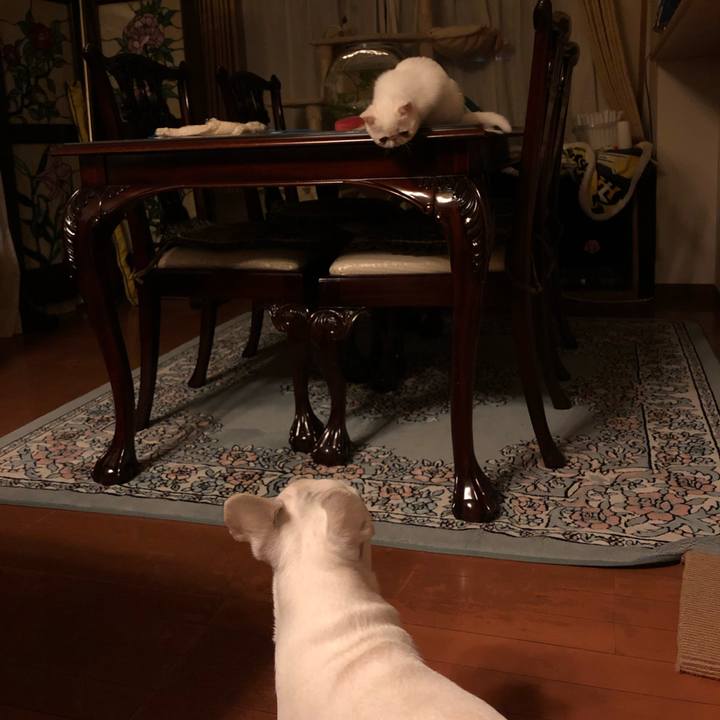 80a68300 e509 4f70 9a13 11947094dc73 1547121648774