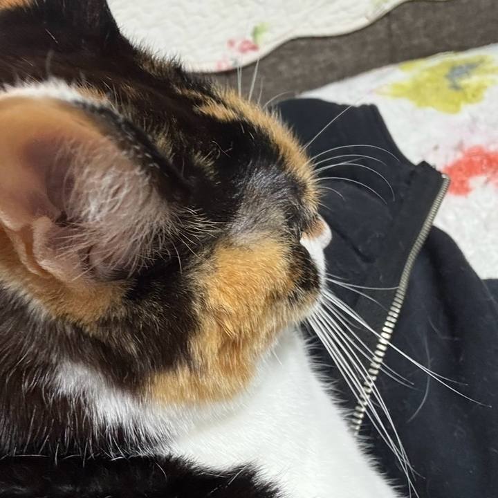 80a6ada7 0d31 4648 907e 70f686e67d3c 1767185413362