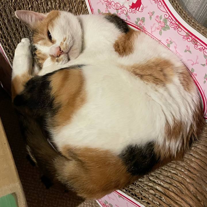 80a6caa9 d330 4434 bda8 228c77dbea20 1695650736710