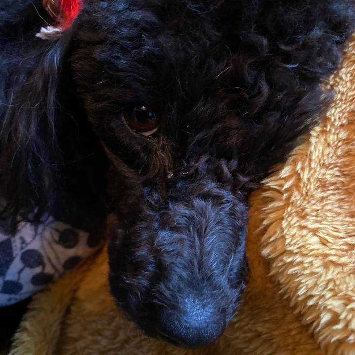 80a6e9e1 37ec 4b4a 9c68 f5609a243667 1583625113352