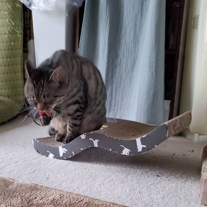 80a72c27 9385 4d25 8a81 645ed7a5be0b 1720545155073