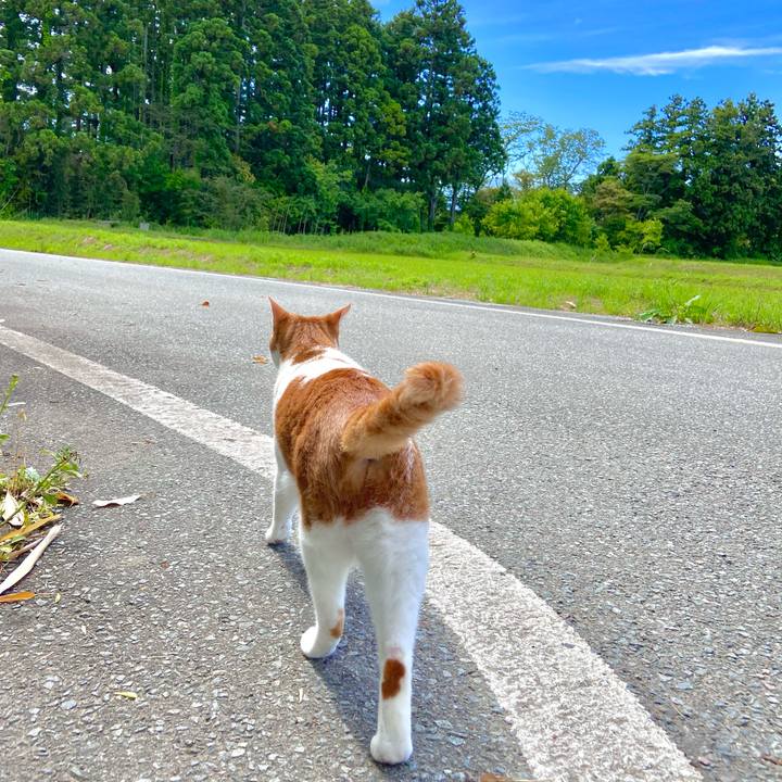 80a73113 d393 4eb3 8031 ccd17ee83534 1622876410800